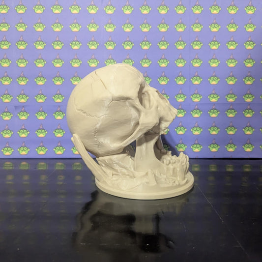 Ancient Skull DnD Dice Roller