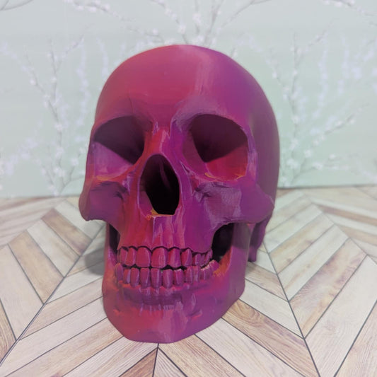 Skull Holder for Pens, Paint Brushes, Makeup Brushes