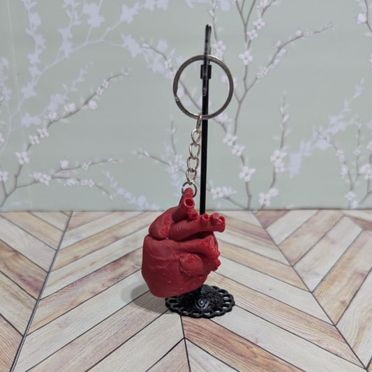 Anatomically Correct Heart Keychain
