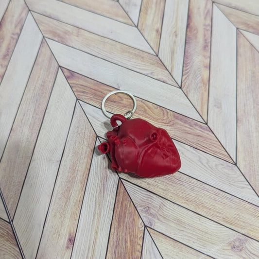 Anatomically Correct Heart Keychain